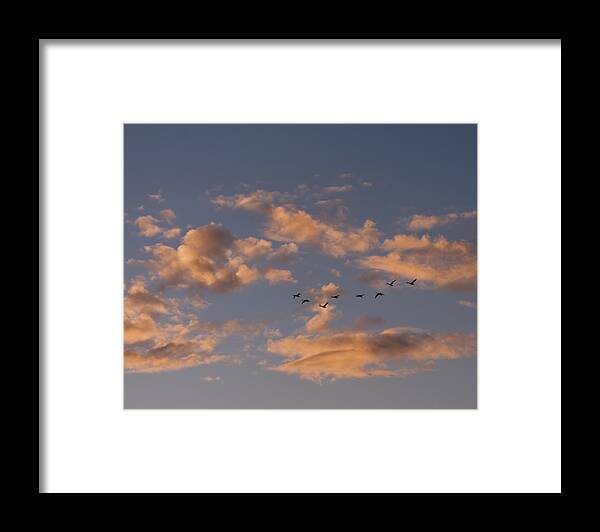 Landscape Framed Print featuring the photograph Evening Flight by Rhonda McDougall