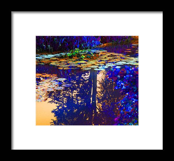 Garden Pond Framed Print featuring the photograph Evening Glow on the Lily Pond by John Lautermilch