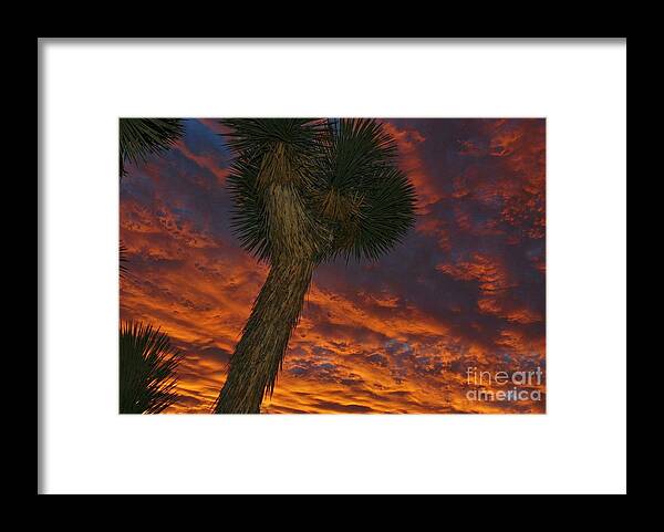 Red Clouds Framed Print featuring the photograph EveninG ReD EvenT by Angela J Wright