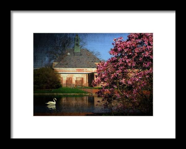 Swan. Stream. Lake. Water. Pond. Tulip Tree. Pink Flowers. House. Building. Archetecture. Kingwood Gardens Framed Print featuring the photograph Evening Swan by Mary Timman