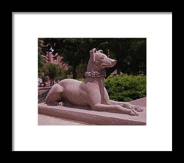 Dog Framed Print featuring the photograph Ever Vigilant by Rona Black