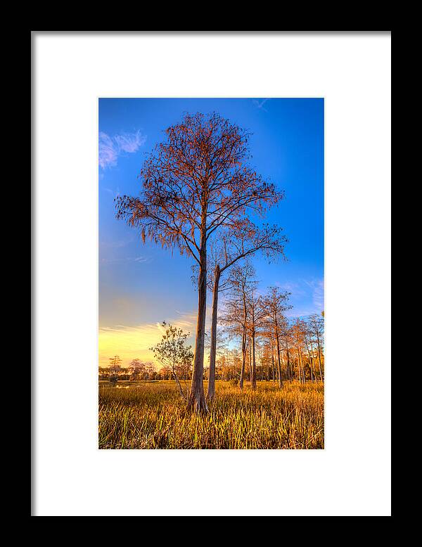 Clouds Framed Print featuring the photograph Everglades at Sunset by Debra and Dave Vanderlaan
