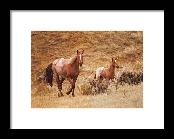 Animal Framed Print featuring the photograph Exercise by Jack Milchanowski