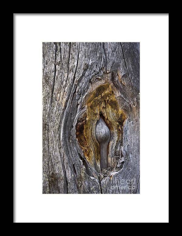 Heiko Framed Print featuring the photograph Expressive Trunk by Heiko Koehrer-Wagner