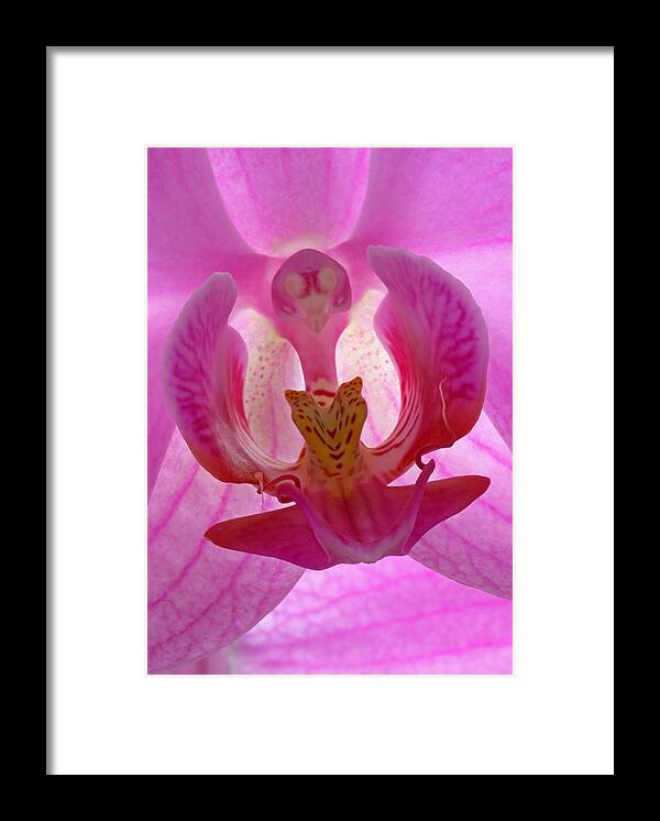 Orchid Framed Print featuring the photograph Extremely Loud And Incredibly Close by Juergen Roth