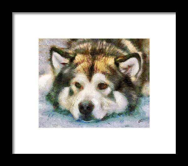 Alaska Framed Print featuring the painting Eyak - Alaskan Malamute by Doggy Lips