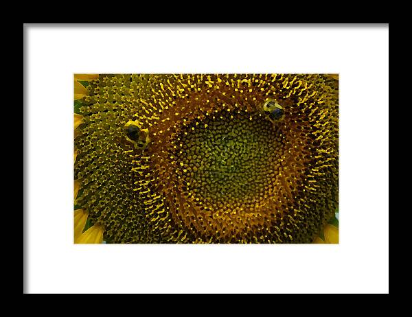 Nature Framed Print featuring the photograph Face to Face by Ricardo Dominguez
