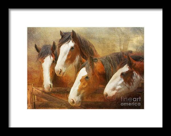 Clydesdale Framed Print featuring the mixed media Faces Of Four by Trudi Simmonds