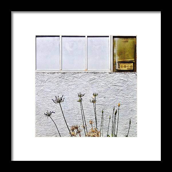 White Wall Framed Print featuring the photograph Faded Flowers by Julie Gebhardt