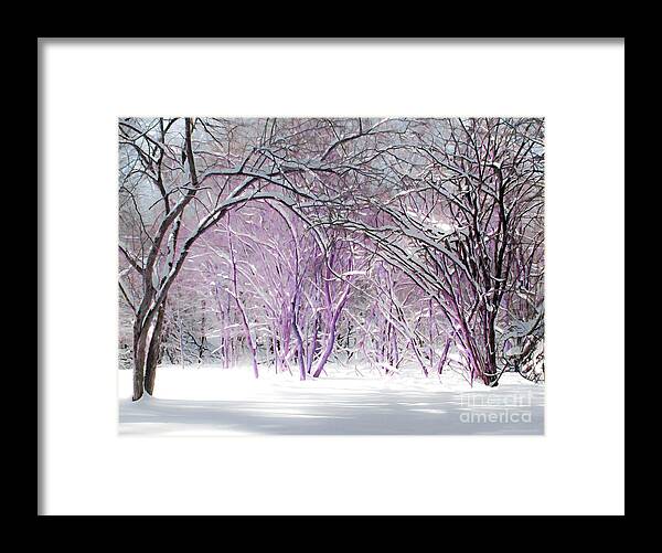 Winter Framed Print featuring the photograph Fairies Winter Wonderland by Barbara McMahon