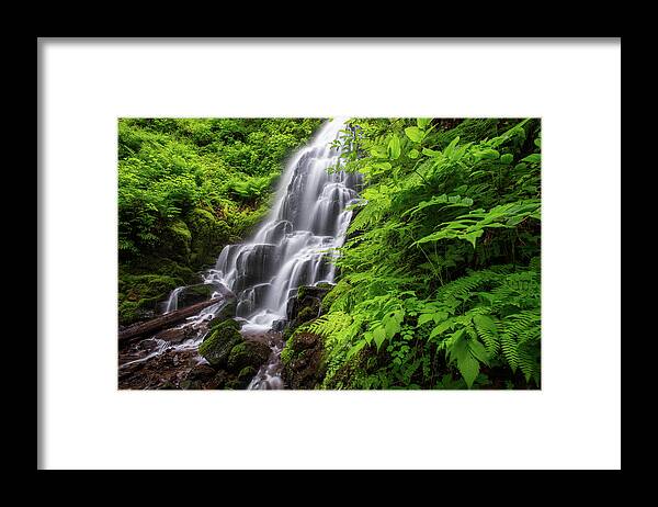 Tranquility Framed Print featuring the photograph Fairy Ferns by Andrew Curtis
