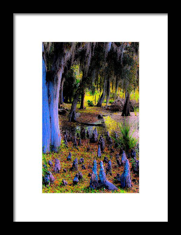 Abstract Framed Print featuring the photograph Fairyland of Gnomes by DigiArt Diaries by Vicky B Fuller