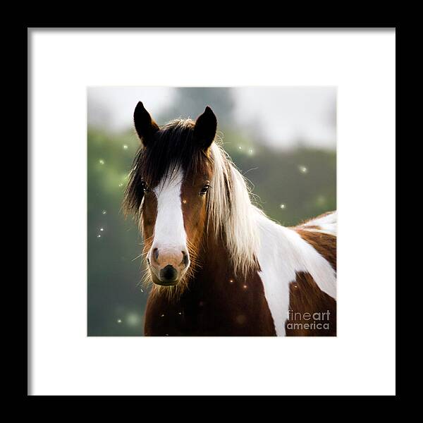 Fairy Framed Print featuring the photograph Fairytale Pony by Ang El