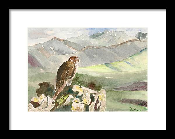 Falcon Framed Print featuring the painting Falcon by Christine Lathrop
