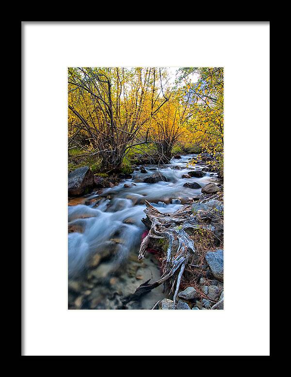 River Framed Print featuring the photograph Fall at Big Pine Creek by Cat Connor