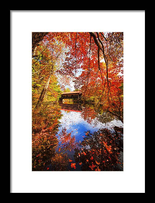 Fall Framed Print featuring the photograph Fall at Waterloo by Robert Clifford
