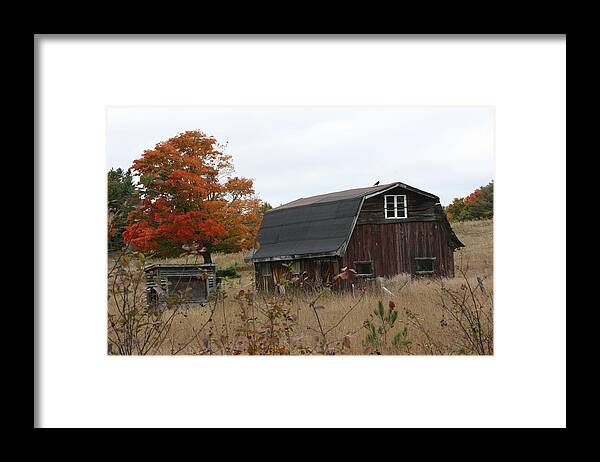 Old Barn Framed Print featuring the photograph Fall Barn by Paula Brown
