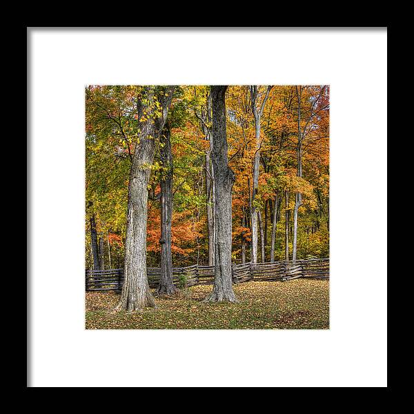 Fall Color Framed Print featuring the photograph Fall Color #1 by Wendell Thompson