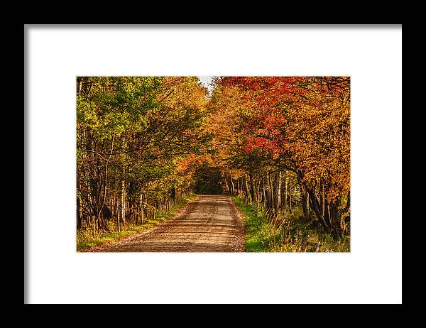 Peacham Vermont Framed Print featuring the photograph Fall color along a dirt backroad by Jeff Folger