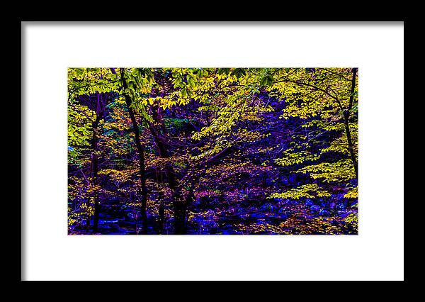 Autumn Framed Print featuring the photograph Fall Colors by Louis Dallara