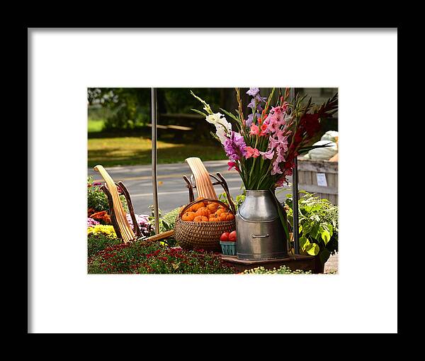 Pumpkins Framed Print featuring the photograph Fall Country  by Judy Genovese