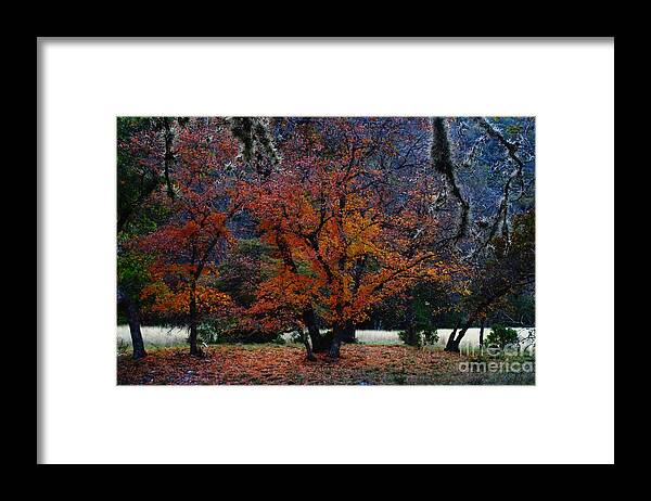 Michael Tidwell Photography Framed Print featuring the photograph Fall Foliage at Lost Maples State Park by Michael Tidwell