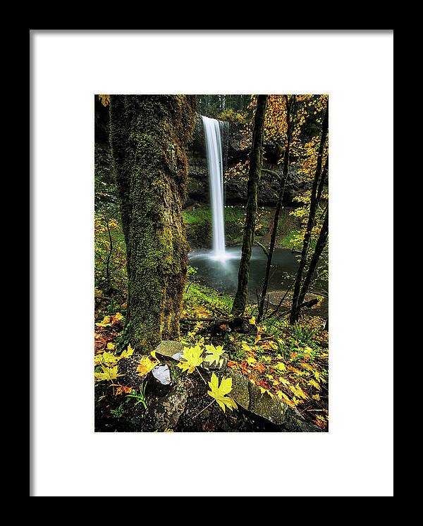 Scenics Framed Print featuring the photograph Fall Foliage At South Falls by Naphat Photography