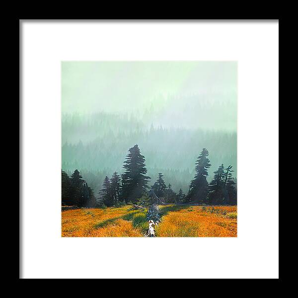Rain Framed Print featuring the photograph Fall in the Northwest by Jeff Burgess