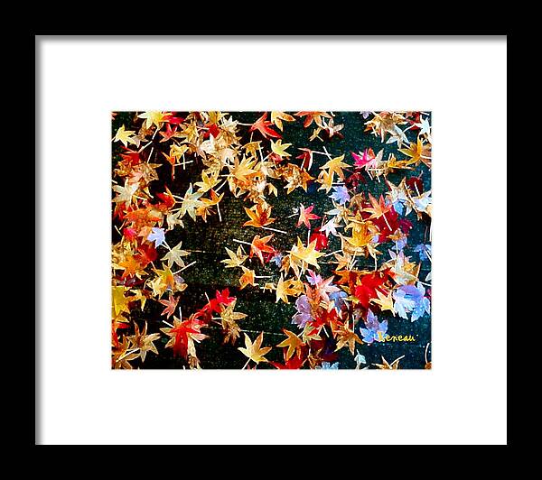 Leaves Framed Print featuring the photograph Fall Leaves 2 by A L Sadie Reneau