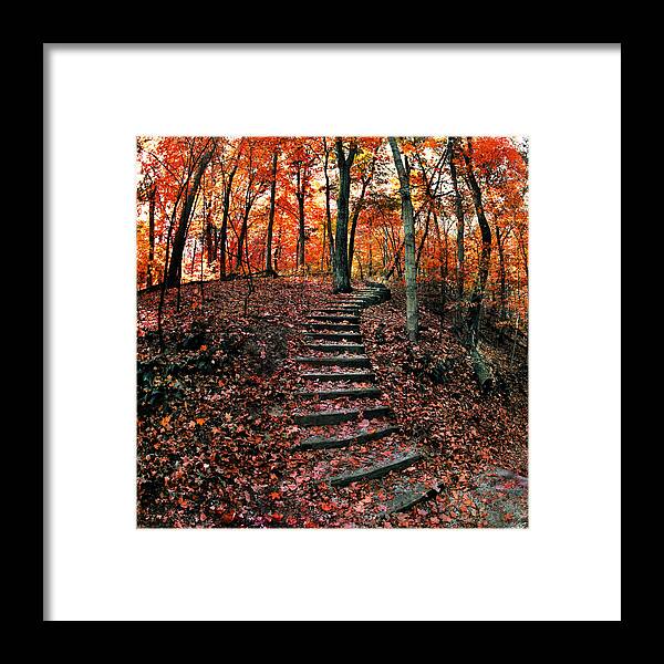 Fall Leaves Framed Print featuring the photograph Fall Leaves at Wildcat Den by Jamieson Brown