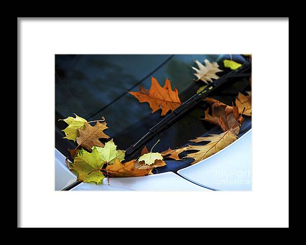 Autumn Framed Print featuring the photograph Fall leaves on a car by Elena Elisseeva