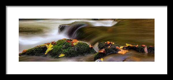 Fall Framed Print featuring the photograph Fall Leaves On Mossy Rocks by Greg and Chrystal Mimbs