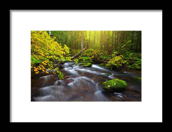 Sun Framed Print featuring the photograph Fall Morning Hike by Darren White