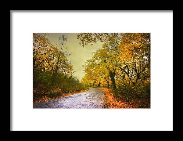 Fall Of The Leaf Framed Print featuring the photograph Fall of the Leaf by Kandy Hurley