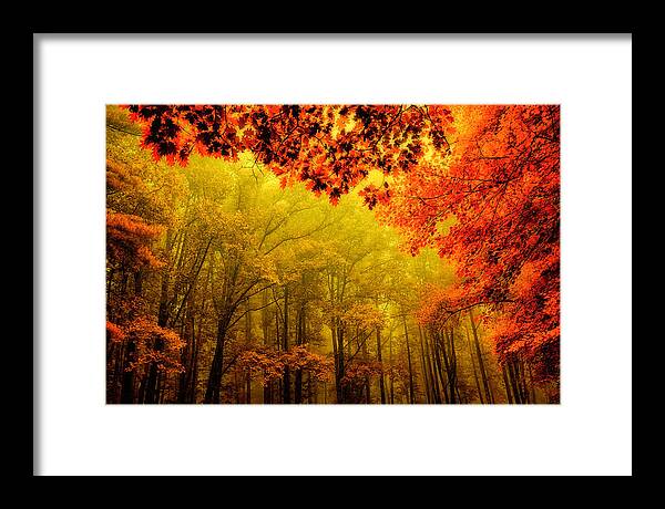 Blue Ridge Parkway Framed Print featuring the painting Fall on Steroids - Blue Ridge Parkway by Dan Carmichael