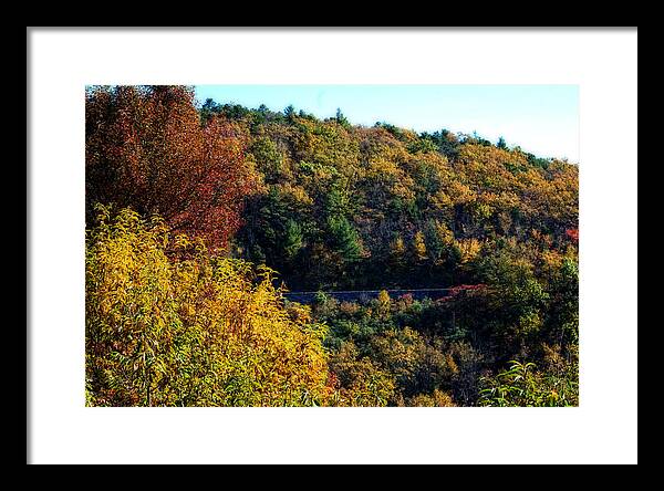 Fall Framed Print featuring the photograph Fall on the Blue Ridge Parkway by Cathy Shiflett