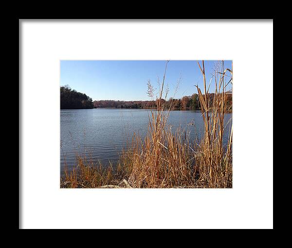 Creek Framed Print featuring the photograph Fall on the Creek by Charles Kraus