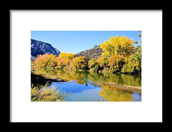 Cottonwoods Framed Print featuring the photograph Fall on the Rio Grande by Jacqui Binford-Bell