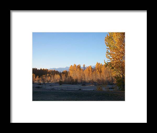 River Framed Print featuring the photograph Fall on the River by Jewel Hengen