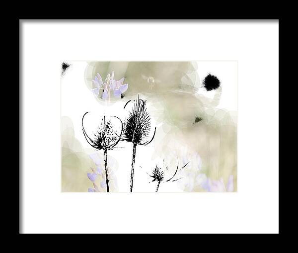 Botanical Framed Print featuring the photograph Fall on White II by Rich Collins