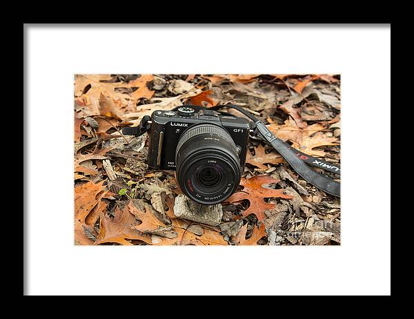 Fall Framed Print featuring the photograph Fall Photography by Suzanne Luft