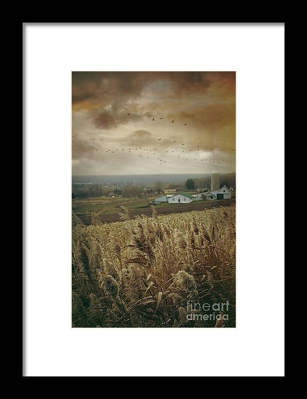Alone Framed Print featuring the photograph Fall rural scene of a farm in the valley by Sandra Cunningham