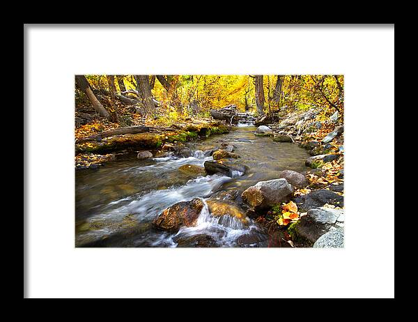 Fall Framed Print featuring the photograph Fall Rush at McGee Creek by Lynn Bauer