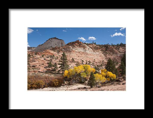 Nature Framed Print featuring the photograph Fall Season at Zion National Park by John M Bailey