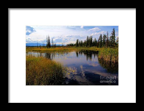 Swamps Framed Print featuring the photograph Fall Serenity by Roland Stanke