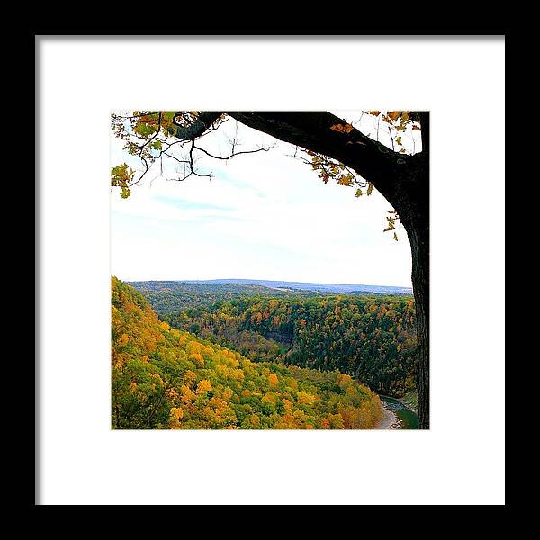 Letchworth Park Framed Print featuring the photograph Fall View by Justin Connor