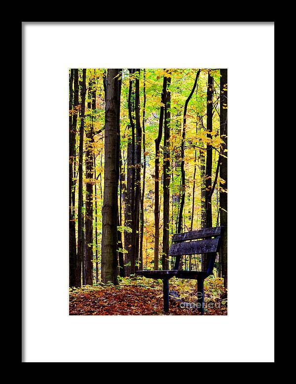 Leaves Framed Print featuring the photograph Fall Woods in Michigan by Michael Arend