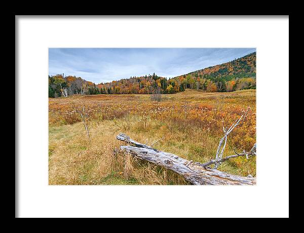 White Mountains Framed Print featuring the photograph Fallen by Bryan Bzdula