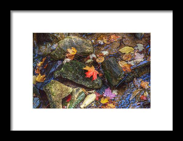 Autumn Leaf Photography Framed Print featuring the photograph Fallen Glory by Patricia Dennis