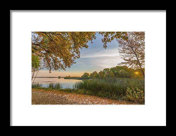 Landscape Framed Print featuring the photograph Fallen Leaves And Aspen Trees At Sunrise by Marc Crumpler